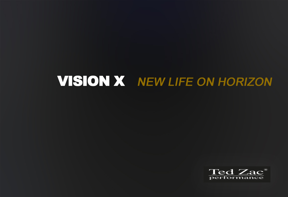 010-VISION-X